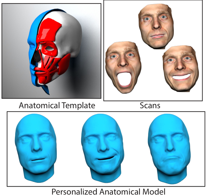 Solving for Muscle Blending Using Data